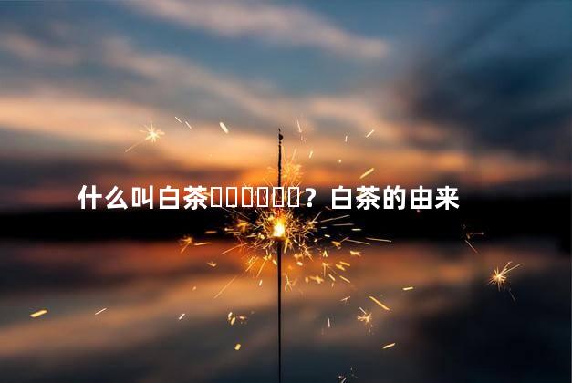 什么叫白茶？白茶的由来